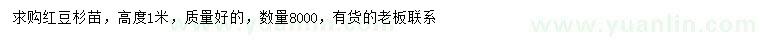 求購高度1米紅豆杉苗