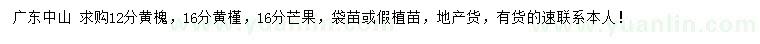 求購黃槐、黃槿、芒果袋苗或假植苗