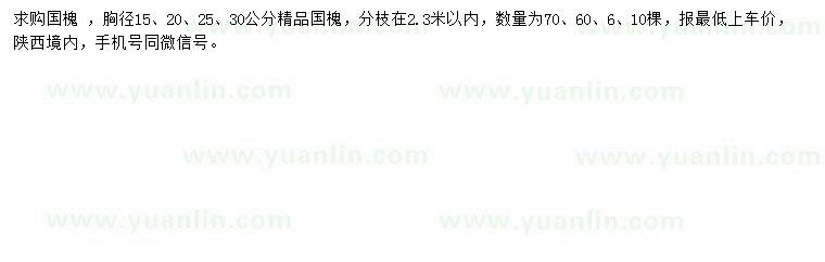 求購胸徑15、20、25、30公分精品國槐