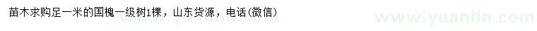 求購(gòu)1米國(guó)槐