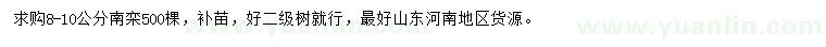 求購8-10公分南欒