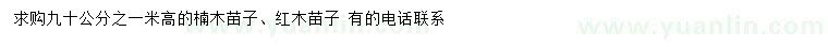 求購(gòu)高90-100公分楠木苗子、紅木苗子