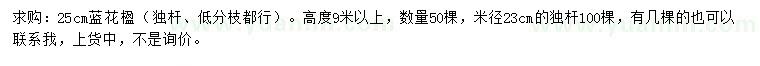 求購(gòu)23、25公分藍(lán)花楹