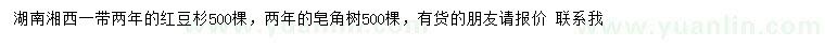 求購(gòu)2年紅豆杉、皂角樹(shù)