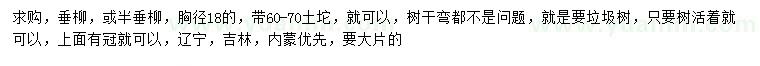 求購胸徑18公分垂柳或半垂柳
