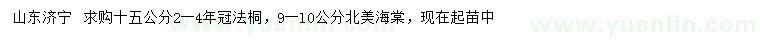 求購15公分法桐、9-10公分北美海棠