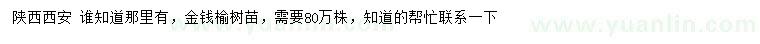 求購金錢榆樹苗