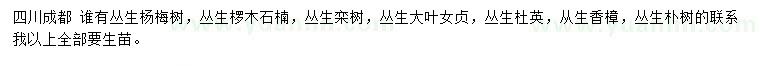 求購叢生楊梅樹、叢生欏木石楠、叢生欒樹等