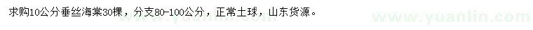 求購10公分垂絲海棠