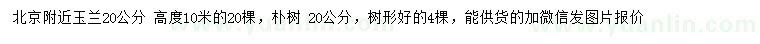 求購20公分玉蘭、樸樹