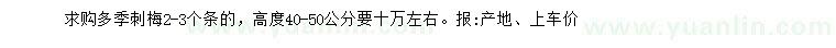求購(gòu)高40-50公分多季刺梅