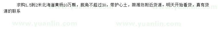 求購(gòu)1.5-2米北海道黃楊