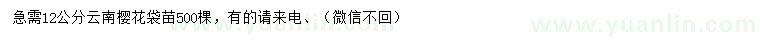 求購12公分云南櫻花袋苗