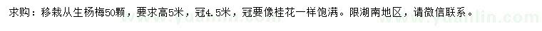 求購高5米移栽從生楊梅