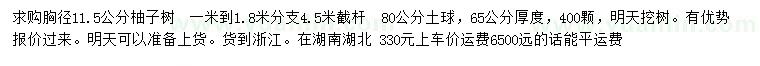 求購胸徑11.5公分柚子樹