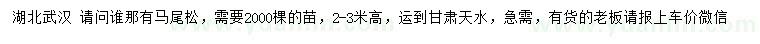求購高2-3米馬尾松
