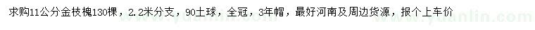 求購11公分金枝槐