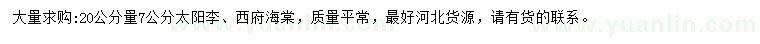 求購20公分量7公分太陽李、西府海棠