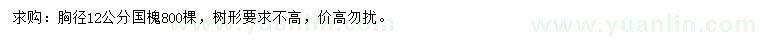 求購胸徑12公分國槐