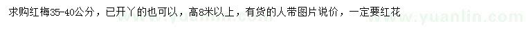 求購35-40公分紅梅