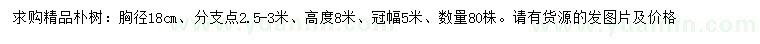 求購胸徑18公分精品樸樹