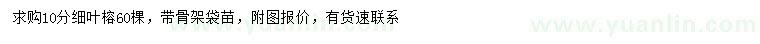 求購10公分細(xì)葉榕