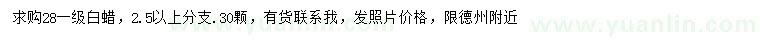 求購28公分白蠟