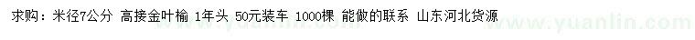 求購(gòu)米徑7公分高接金葉榆