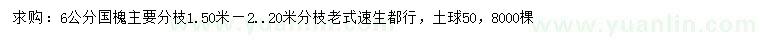 求購6公分國槐