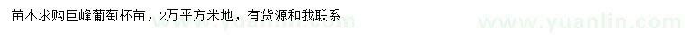 求購巨峰葡萄杯苗