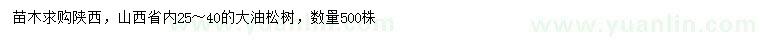 求購25-40公分大油松樹