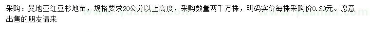 求購高20公分以上曼地亞紅豆杉