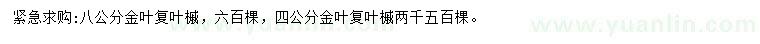 求購(gòu)8公分金葉復(fù)葉槭、4公分金葉復(fù)葉槭