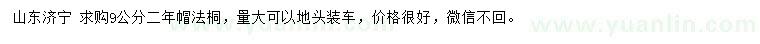 求購9公分法桐