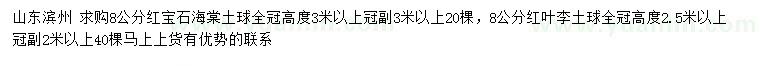 求購8公分紅寶石海棠、紅葉李