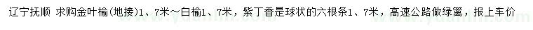 求購金葉榆、白榆、紫丁香