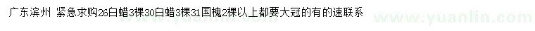 求購(gòu)26、30公分白蠟、31公分國(guó)槐