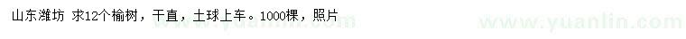 求購(gòu)12公分榆樹(shù)