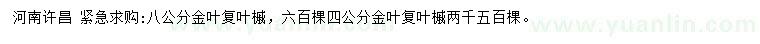 求購4、8公分金葉復葉槭