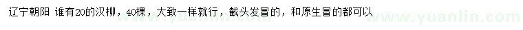 求購(gòu)20公分漢柳