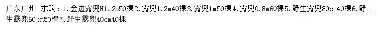 求購金邊露兜、露兜、野生露兜