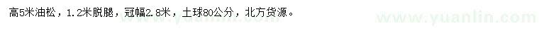 求購(gòu)高5米油松
