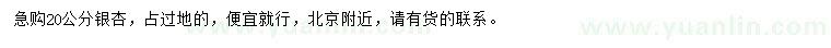 求購20公分銀杏