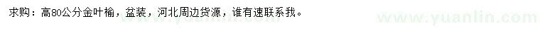 求購高80公分金葉榆