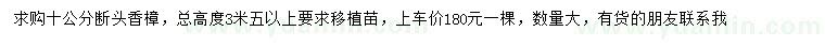 求購(gòu)10公分?jǐn)囝^香樟