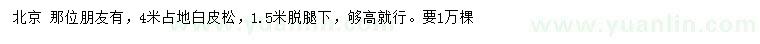 求購(gòu)4米占地白皮松