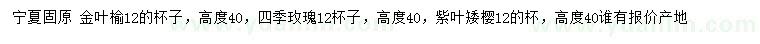 求購金葉榆、四季玫瑰、紫葉矮櫻