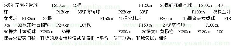求購無刺構(gòu)骨球、紅花繼木球、海桐球等