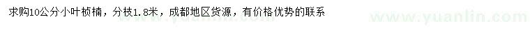 求購10公分小葉楨楠