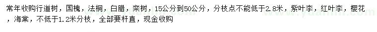 求購國槐、法桐、白臘等